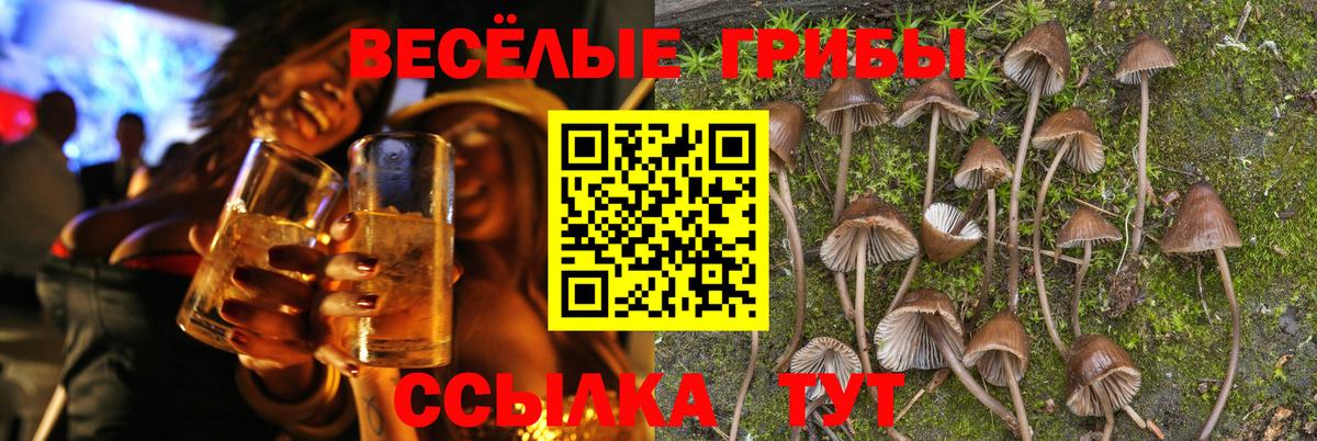 Белебей  Галлюциногенные грибы мухоморы  Вход с VPN 