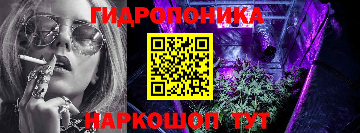 Конопля Bruce Banner  Вход с VPN  Каннабис сатива  Белебей  Бошки Шишки индика 